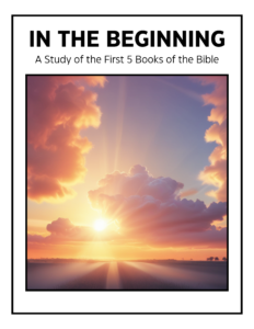 In the Beginning book cover